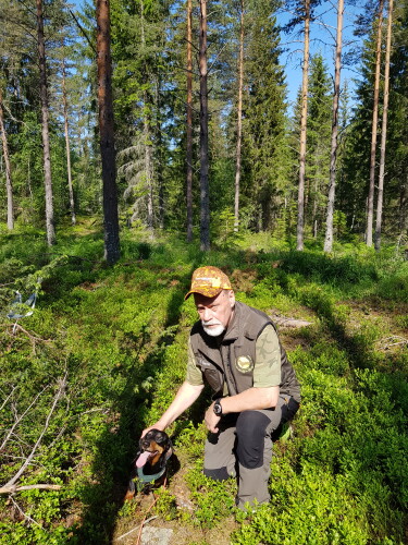 Tvåan i Dreverkampen Trollkraft's Ila KN med Domare Göran Sjöblom. Foto. Maria Johansson